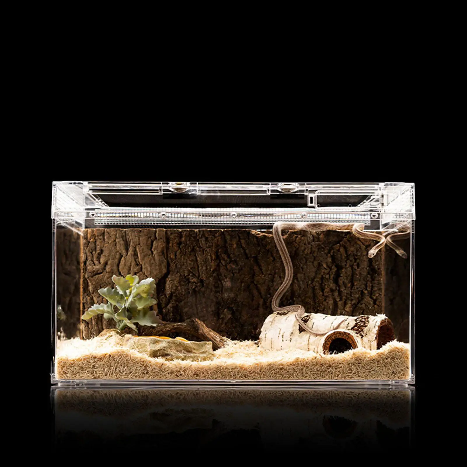 Террариум для рептилий рыболовный бак черепахи Gecko