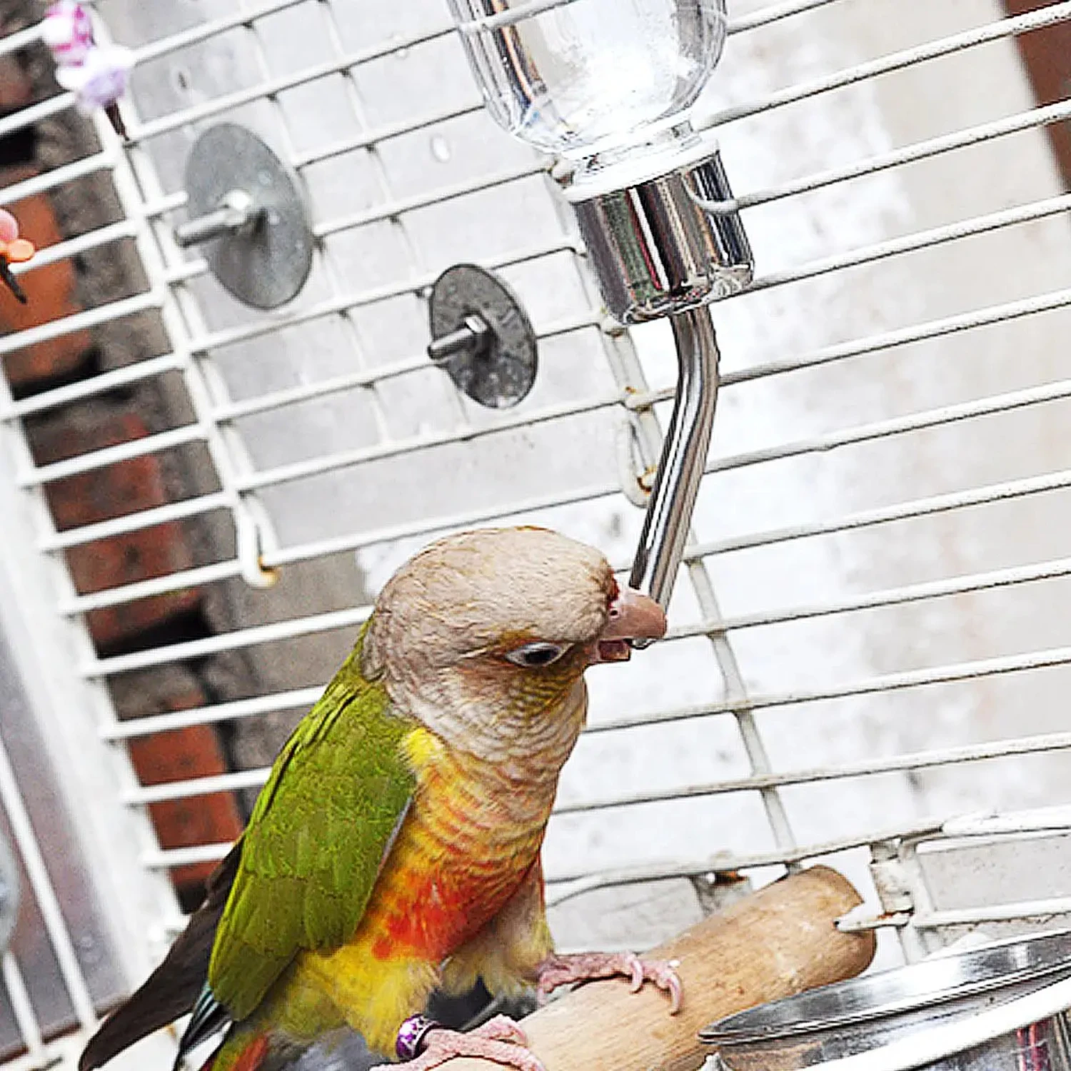 Портативные автоматические кормушки для мелких животных диспенсер воды