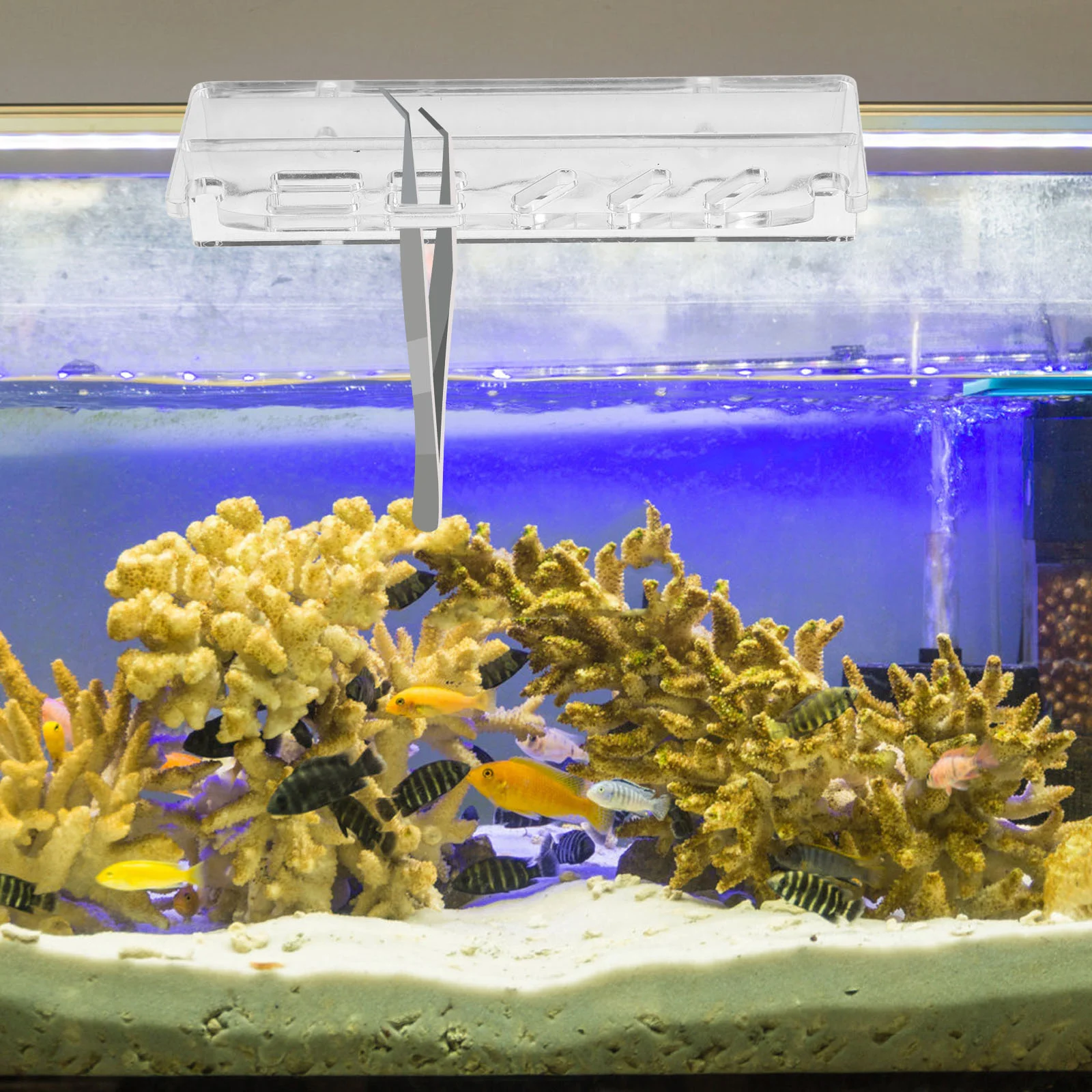 Органайзер для аквариума скребок хранения ножниц инструменты водорослей