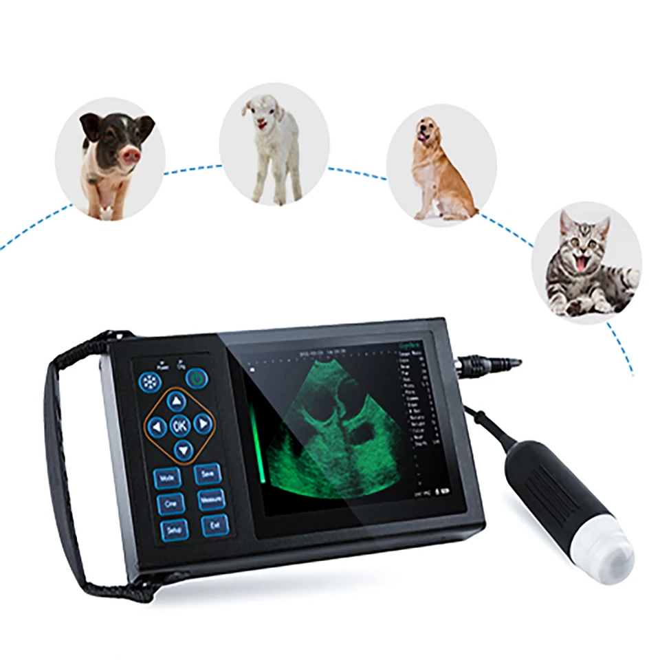 

M10 Handheld Laptop Test Uterine Disease Pregnancy Sonoscape Scanner Ge Mechine Portable Ultrasound Veterinary