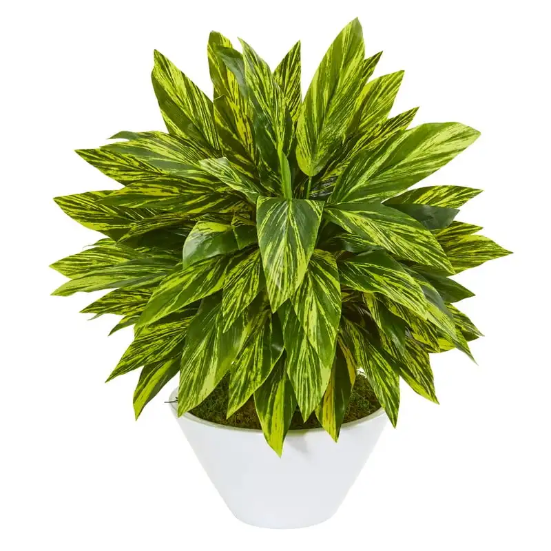 

Tradescantia Artificial Plant in White Vase (Real ), Green