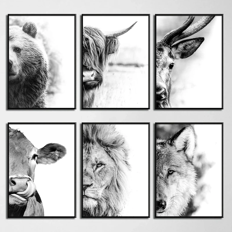 Черно-белая ферма животное Лев гора корова крупный рогатого скота портрет