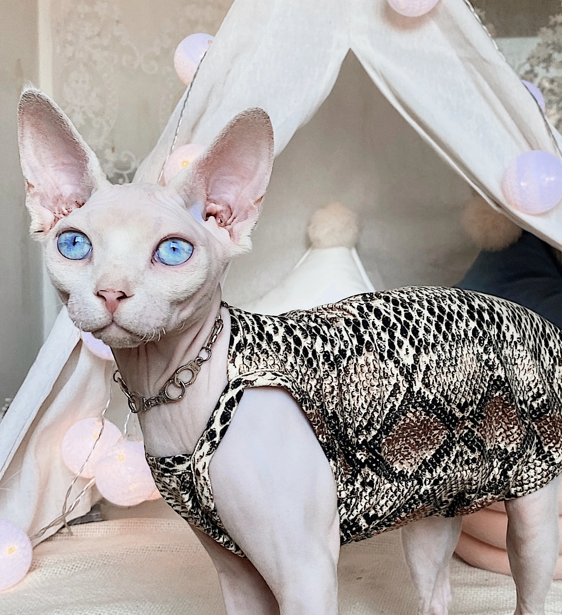 Hip Hop Style Hairless cat clothes Sphinx Devon Rex spring summer  tide cool snake pattern sunscreen sling Sphynx cat clothes