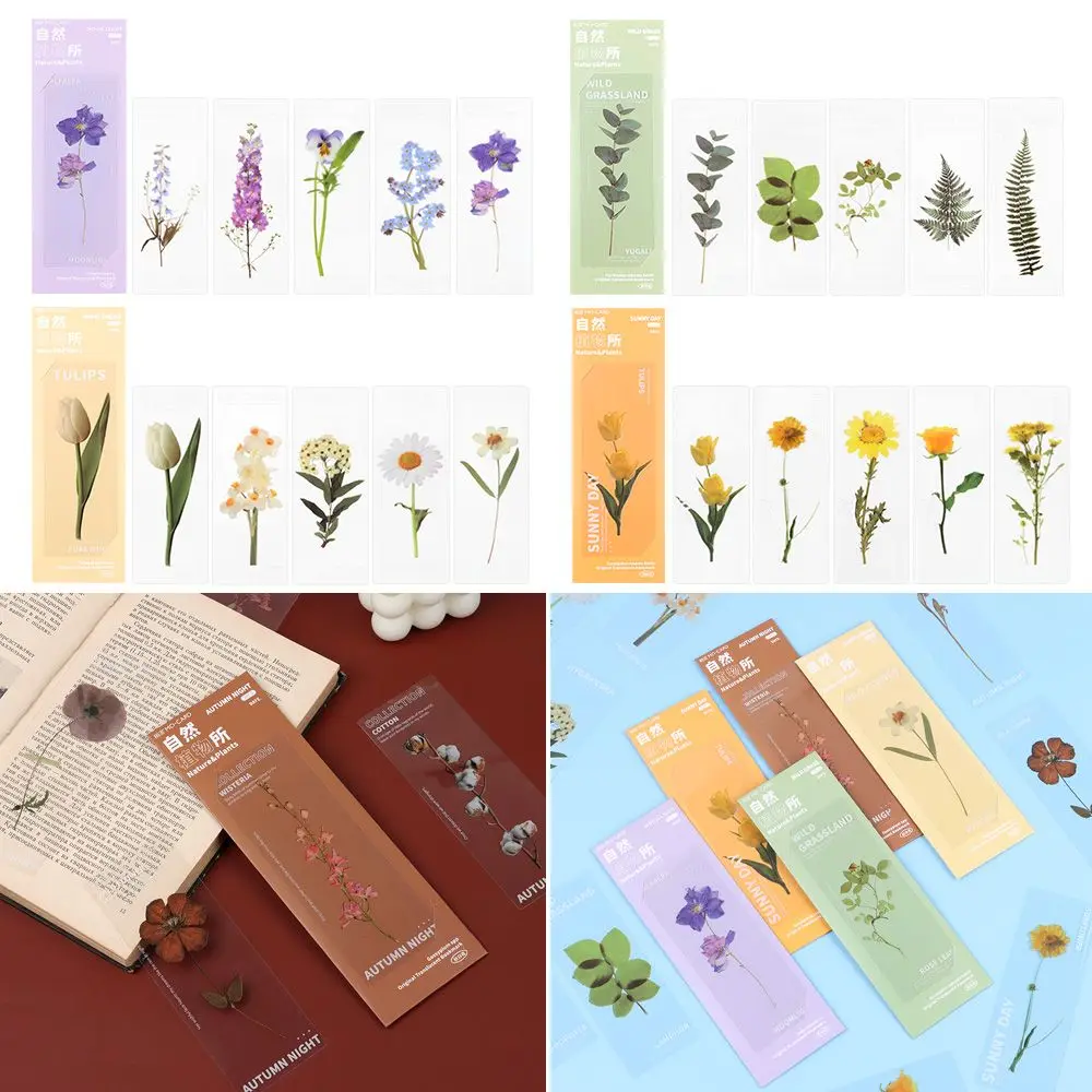

Page Holder Reading Mark PET Leaf Vein Specimen Bookmarks Translucent Flower Bookmarks Card Nature Plants Bookmarks