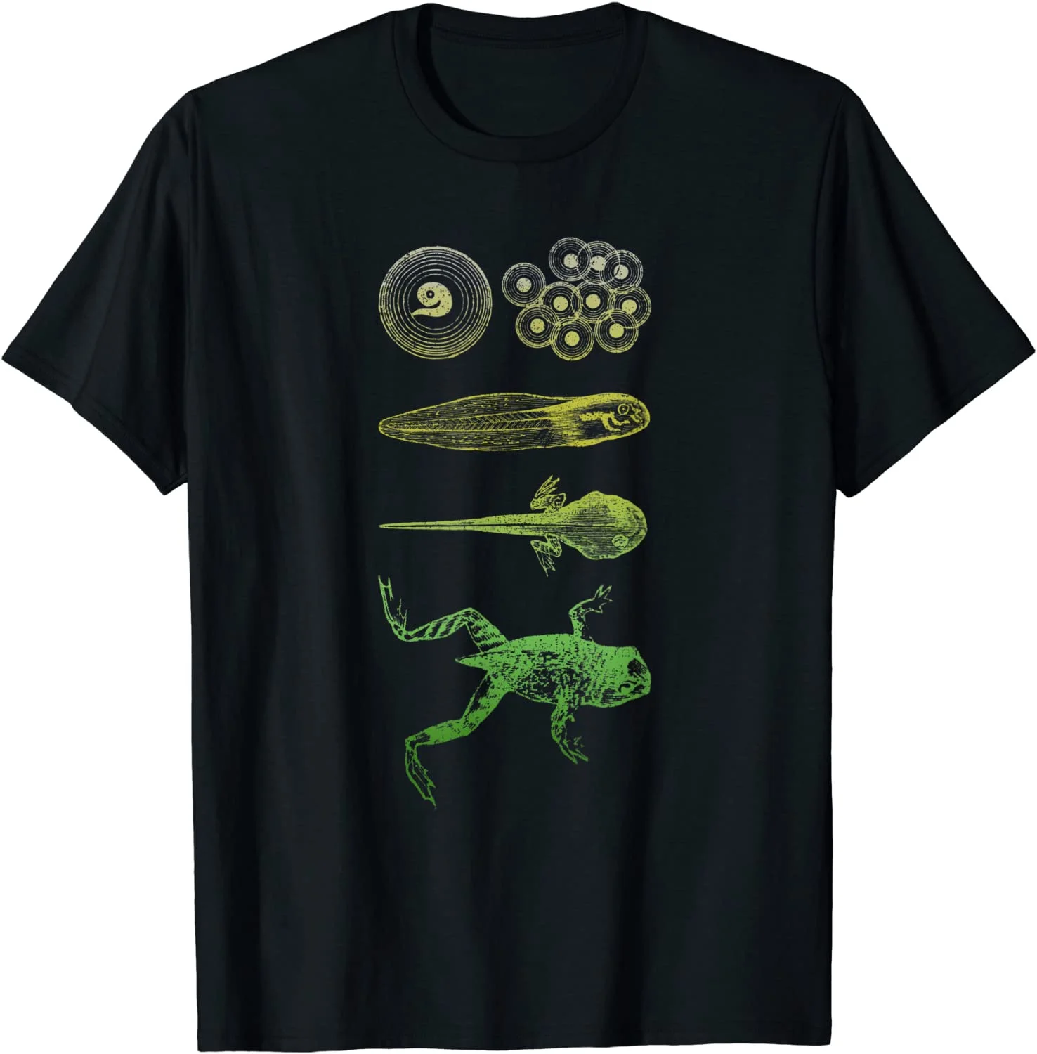 Frog Tadpole T-Shirt Metamorphosis Life Cycle Biology Tee