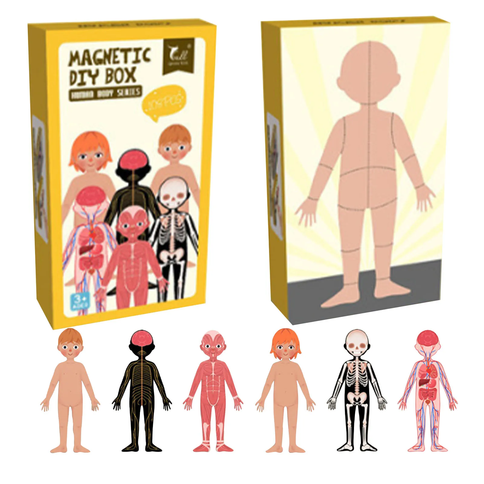 

Magnetic Human Body Anatomy Play Set Human Body Parts Puzzle For Toddlers & Kids Human Parts Toys To Help Kids Explore Learn