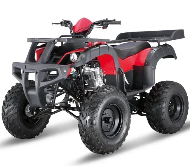 Рисунок 2 - Дешевая распродажа 250CC Atv в