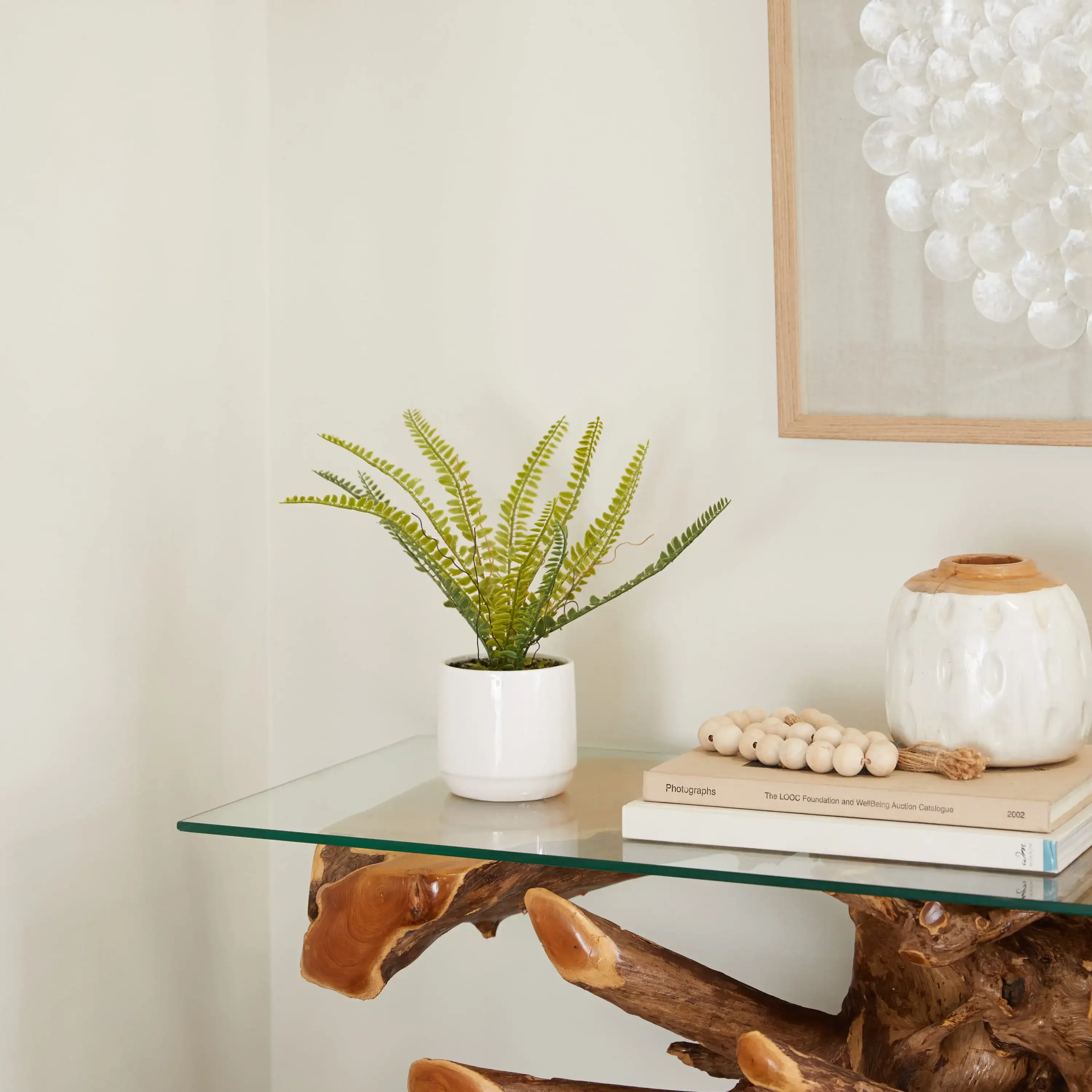 

Free Shipping The Novogratz 12" Artificial Fern Plant in Realistic Leaves and White Ceramic Pot