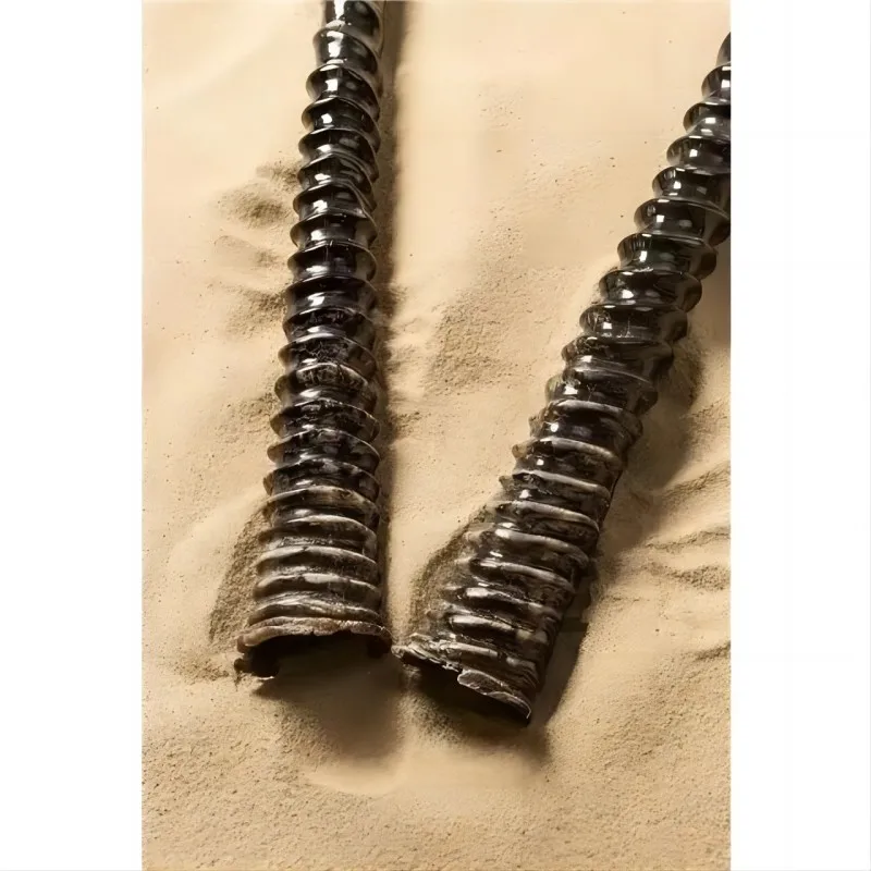 South Africa Imported African Oryx Horn Background Wall Wall Hanging Decoration Bar Artifact Nordic Style Collection Gifts