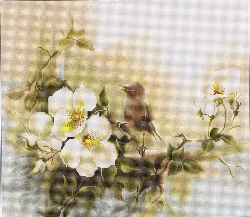 

Цветы и птицы 52-46-2 вышивка DIY 14CT непечатные искусства Набор для вышивки крестом домашний декор