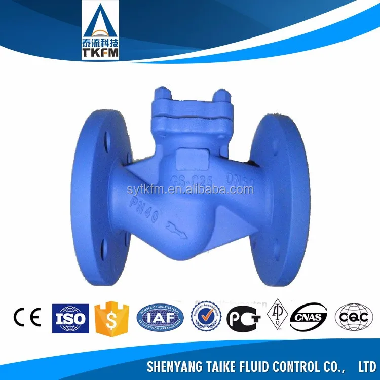 TKFM DN100 wcb обратный клапан для подъема материала парового клапана символ проверки