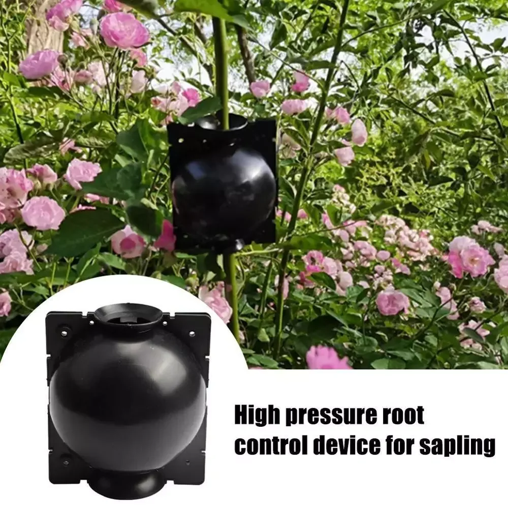 

2020 New 5pcs Plant Rooting Ball Plant Root Growing Box Grafting Rooting Growing Box Breeding Case For Garden 5/8cm In Diameter.
