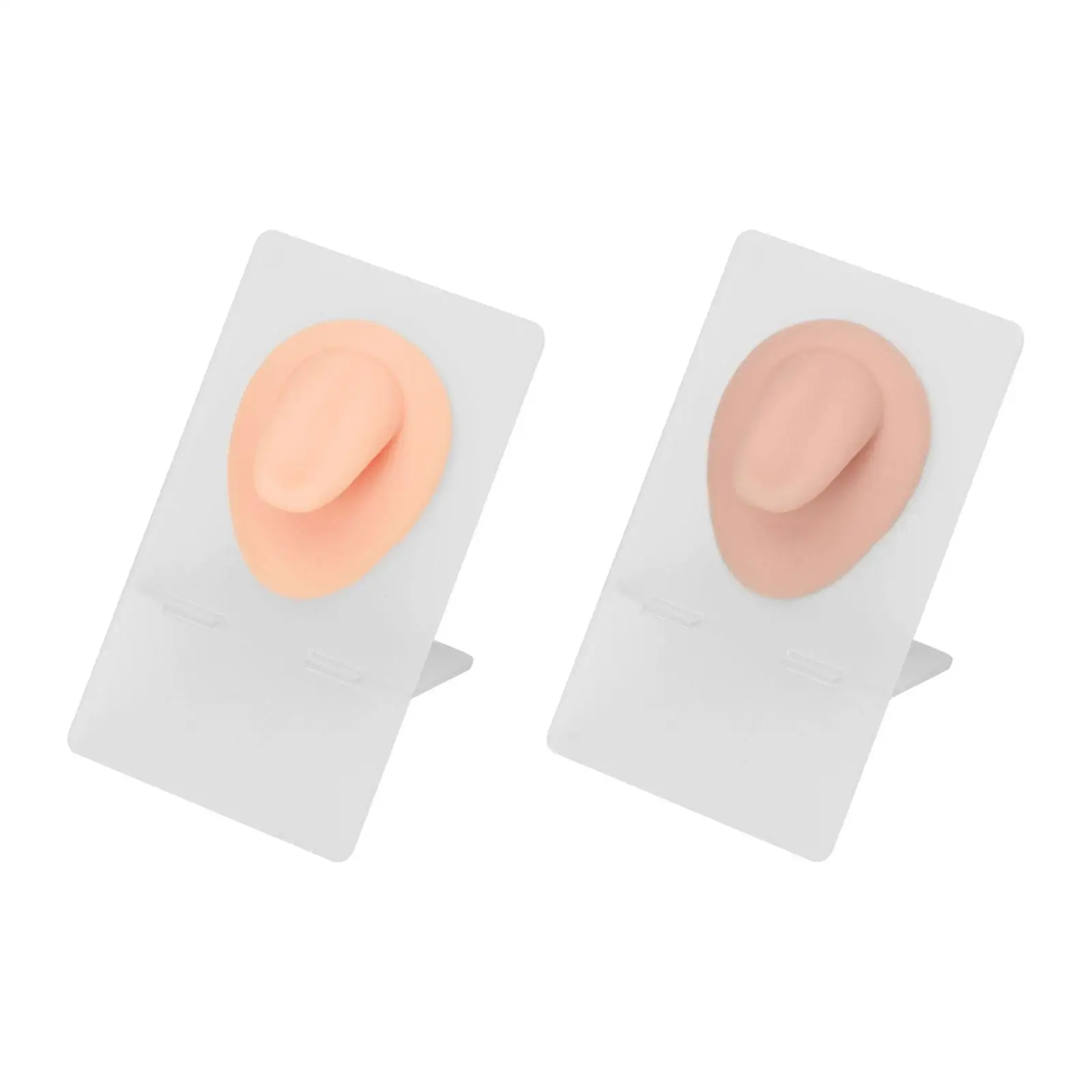 

Silicone Flexible Tongue Model Soft 3D Reusable with Display Stand Body Part Display for Teaching Instructions Piercing Practice