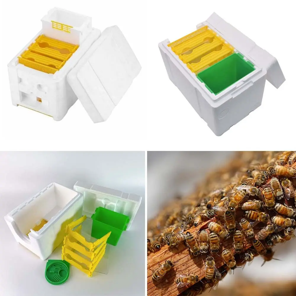 

Mini Beekeeping for Bees Breeding Garden Supplies Foam Feeder Bee Mating Box Mating Equipment Beehive