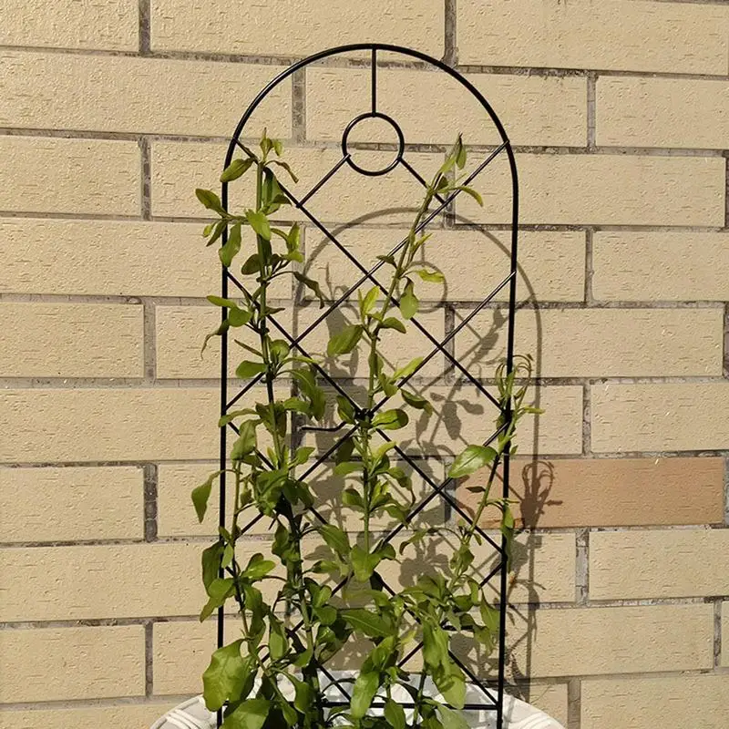 

Trellis For Climbing Plants Outdoor Widely Used Excellent Material Garden Trellis Plant Support For Climbing Plants Potted Vines