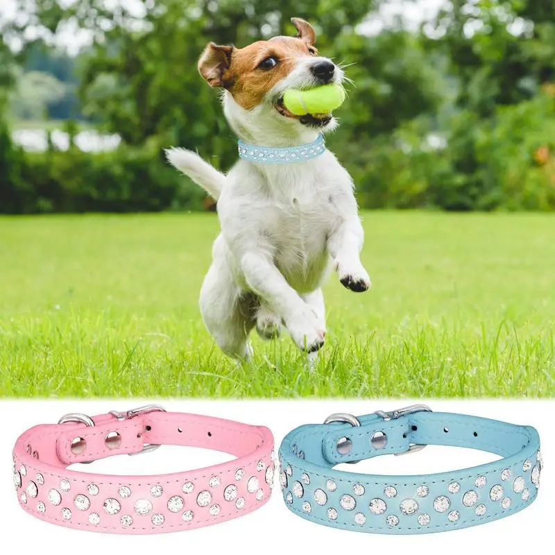 

Шикарный Регулируемый кожаный ошейник для маленьких собак, красивое ожерелье, аксессуары для домашних питомцев, кошек