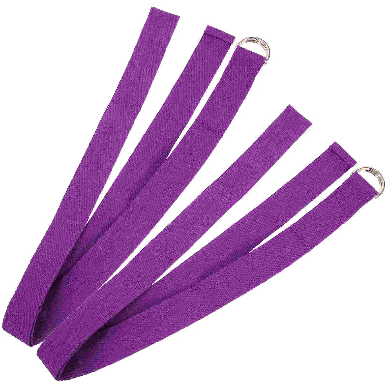 

2 Pcs Elastic Band Workout Bands Stretching Strap Compact Exercise Sports Belt Household Metal Gym Supplies