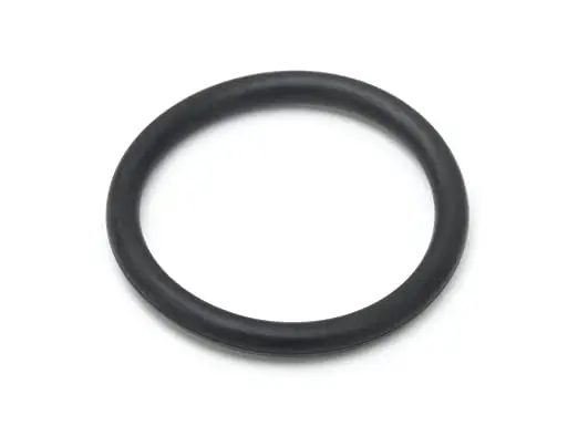 

T&S Brass 010389-45 Plunger O-Ring for Waste Drain Valve