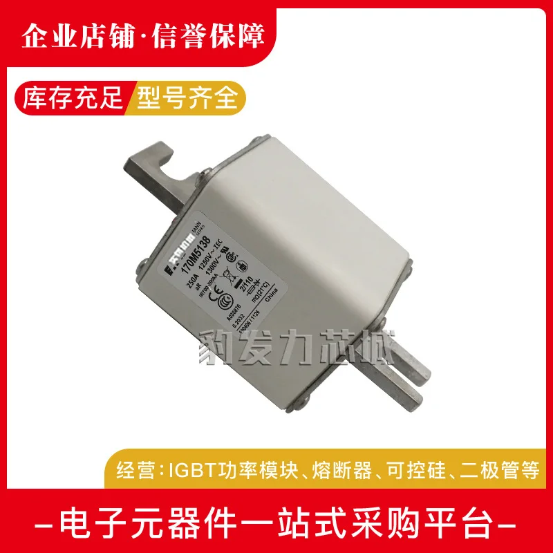 170M5008/5009/5010/5011/5012/5013/5014/015/016/017/018 предохранитель