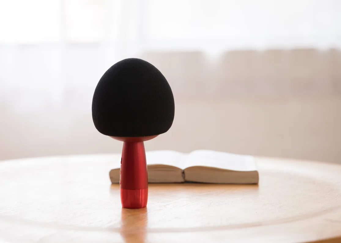 TOSING V3 Hot Classic Cute Mushroom Karaoke Microphone 10W Speaker Magic Sound Effects for Kids Youngster Singing Fun to Family |