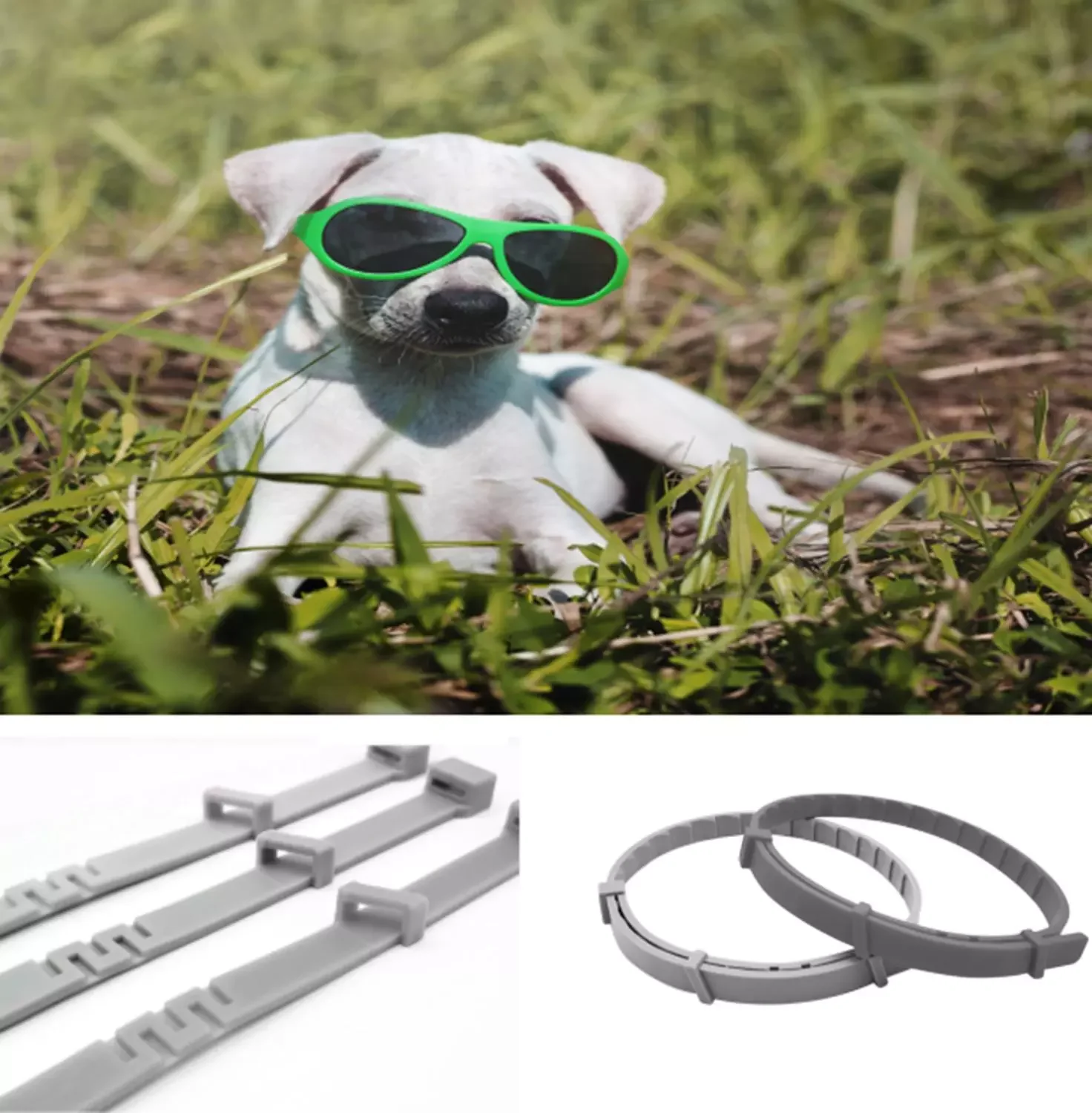 

Practical Dog Cat Adjustable Anti Flea Ticks Collar Pet Waterproof Herbal Pet Collar Over 8 Months Protection Dog Accessories