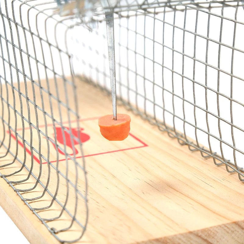 Умная Многоразовая Ловушка Для Мышей Кошек — Внутренняя И Наружная Крыс