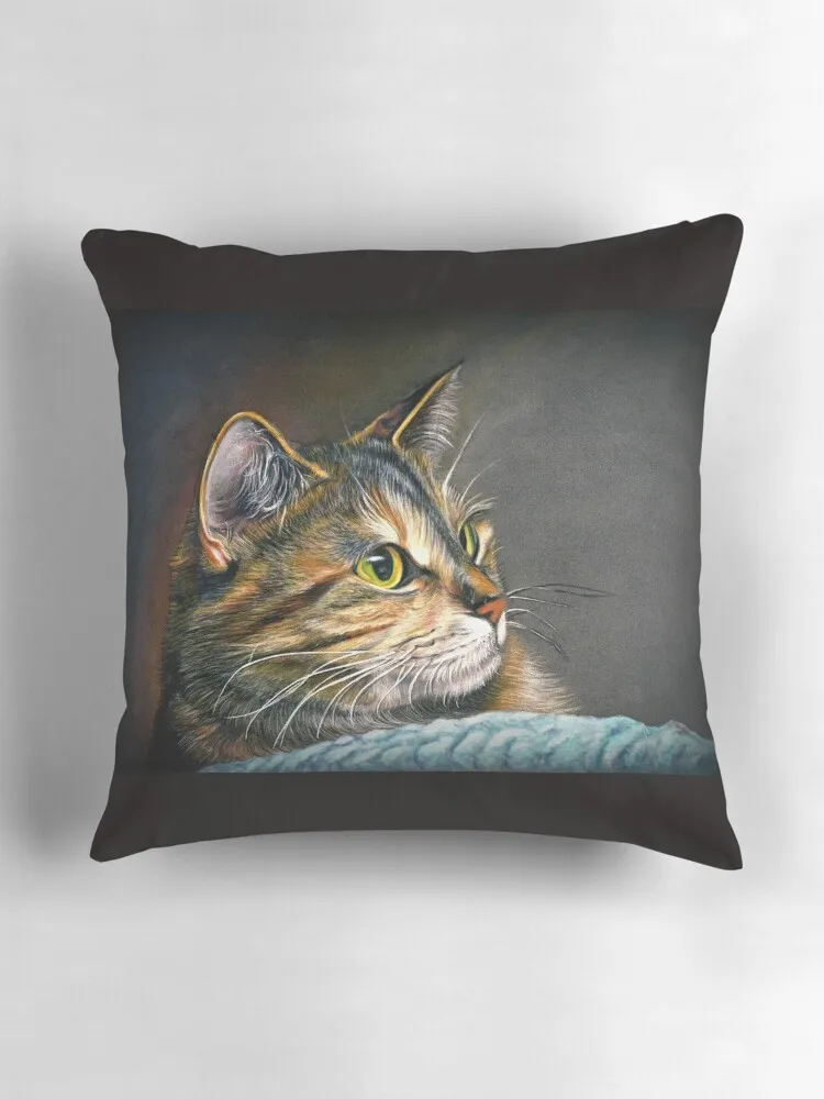 Подушка для дивана с изображением кота из мейн-енота