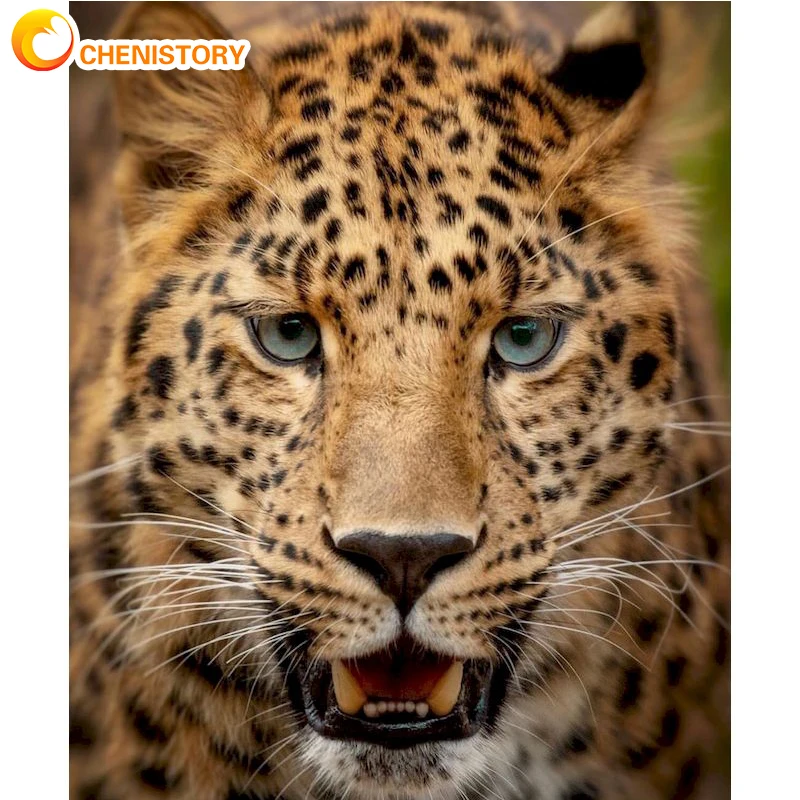 

CHENISTORY Acrylic Painting By Numbers Kits For Adults Leopard Pictures By Numbers With Frame Home Decor Gift Canvas Drawing