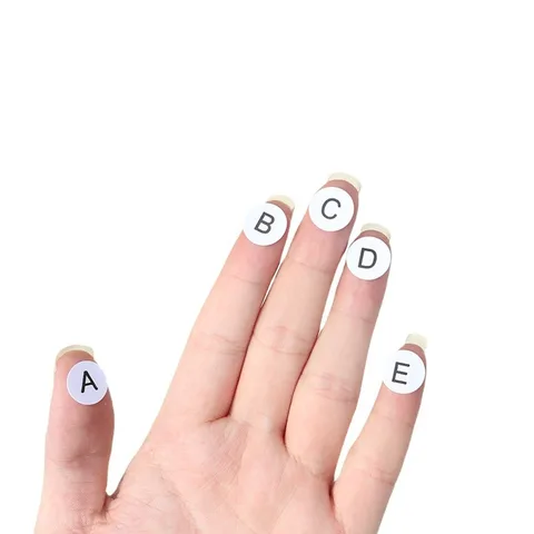 Декоративные наклейки на даты, бумага, 12 листов