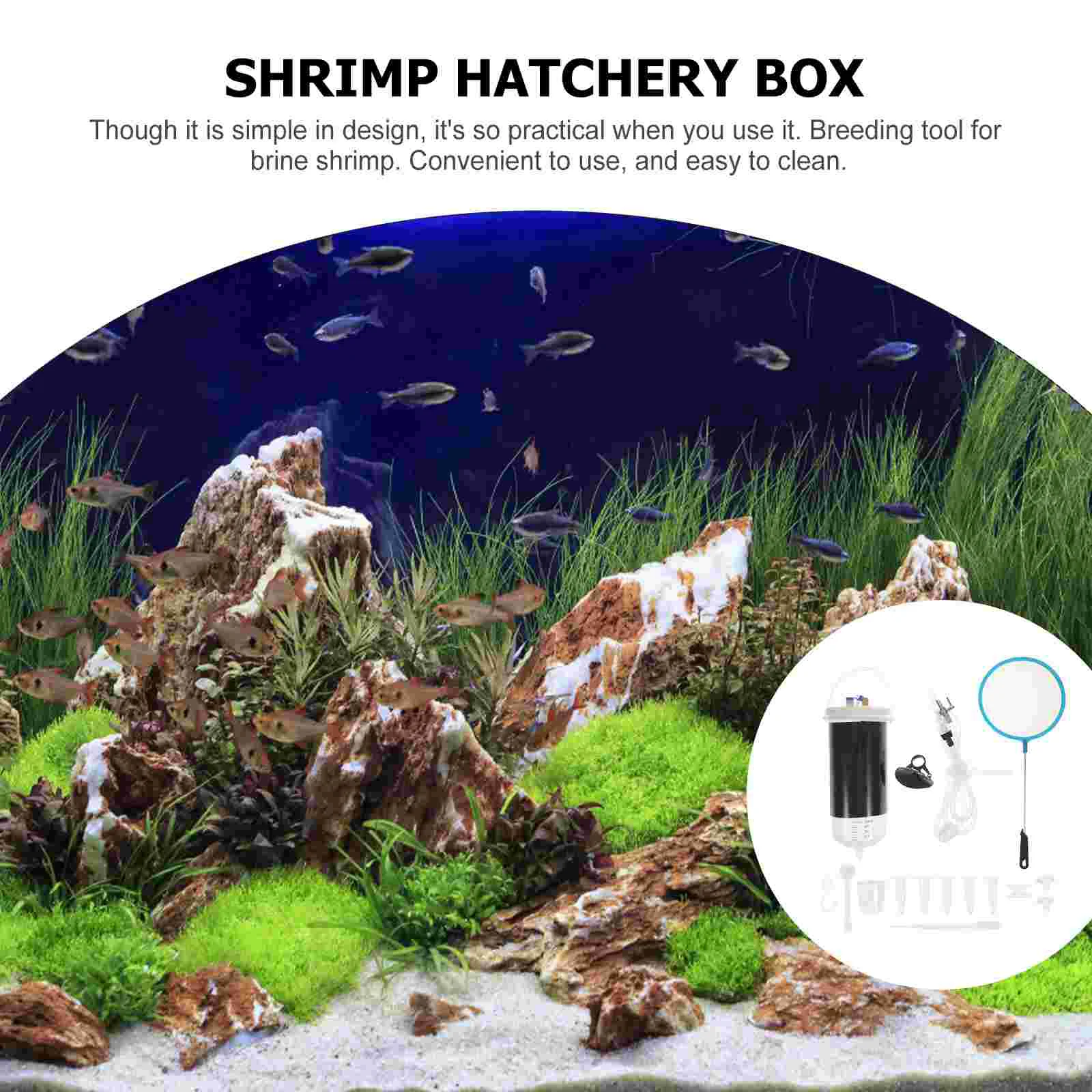 Incubator Brine Aquarium Shrimp Hatchery Fish Bucket Egg Tool Tumbler Tanks Hatching Container