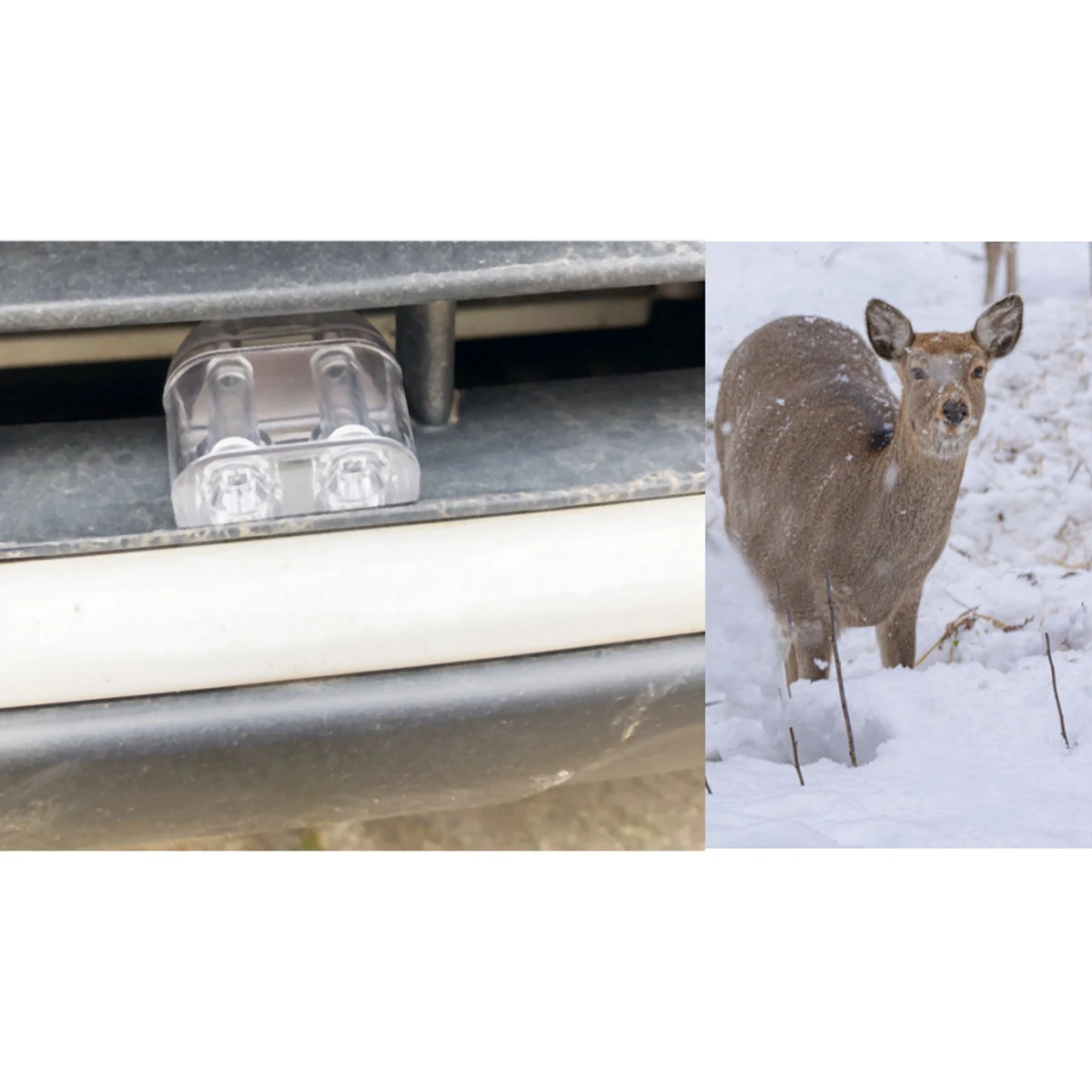 18 скрытых свисток оленя прозрачные водители новые сигнализаторы животных из