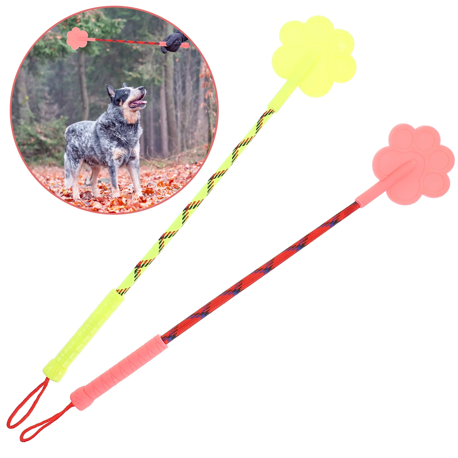 

2 Pcs Target Sticks Dog Training Cat Training Stick Pet Supplies Pet Training Stick Cat Target Stick Pet Teasing Pole Pet Stuff