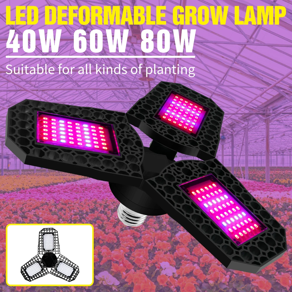 

LED Plant Light Full Spectrum Phytolamp Greenhouse Tent Growth Lamp For Seedlings Indoor Flower Seeds Cultivation LED Grow Light