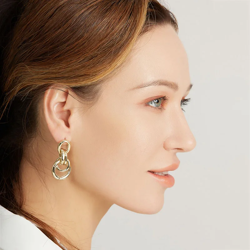 

Drop / Dangle Metal Earrings Geometric Circle Premium Ins Jewelry for Women 925 Silver Needle Hiphop / Rock Fashion Earring