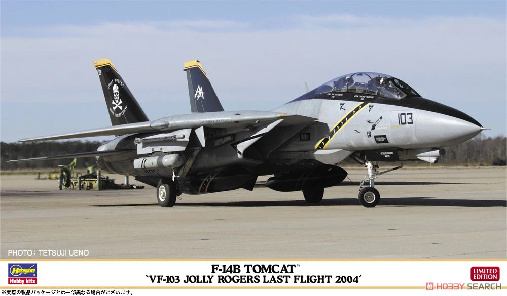 Hasegawa 02434 Static Assembled Model 1/72 Scale For F-14B t