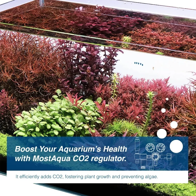 Двухступенчатый регулятор Co2 интегрированный счетчик пузырей серии Pro-Master и