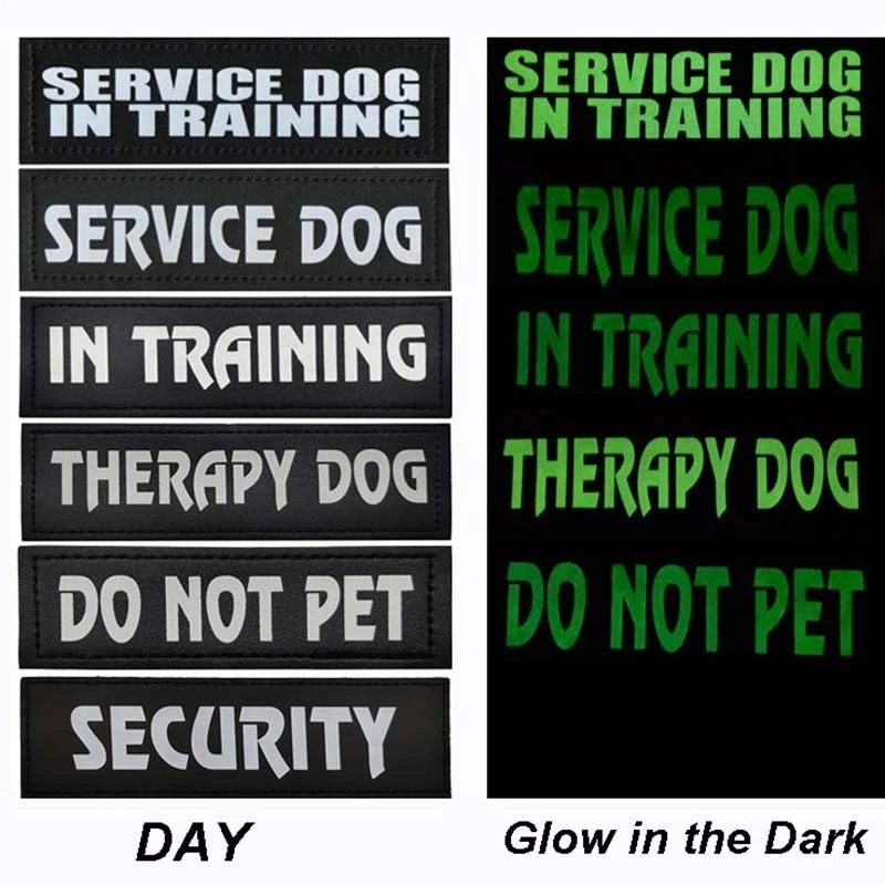 15*5 ΡΠΌ/2 ΡΡ. ΡΠ΅ΡΠ²ΠΈΡΠ½Π°Ρ ΡΠΎΠ±Π°ΠΊΠ° Π΄Π»Ρ ΡΡΠ΅Π½ΠΈΡΠΎΠ²ΠΎΠΊ, ΡΠΎΠ±Π°ΠΊΠ° Π½Π΅ ΠΏΠΈΡΠΎΠΌΠ΅Ρ, ΠΊΠΎΠΆΠ°Π½Π°Ρ Π½Π°ΡΠΈΠ²ΠΊΠ° ΠΊΡΡΡΠΎΠΊ ΠΈ ΠΏΠ΅ΡΠ»Ρ ΡΠΎΡΠΎΡΠ»Π΅ΠΌΠ΅Π½Ρ Π΄Π»Ρ ΠΏΠΎΠΌΠΎΡΠΈ Π°ΡΠΌΠΈΠΈ 15*5 ΡΠΌ/2 ΡΡ. ΡΠ΅ΡΠ²ΠΈΡΠ½Π°Ρ ΡΠΎΠ±Π°ΠΊΠ° Π΄Π»Ρ ΡΡΠ΅Π½ΠΈΡΠΎΠ²ΠΎΠΊ, ΡΠΎΠ±Π°ΠΊΠ° Π½Π΅ ΠΏΠΈΡΠΎΠΌΠ΅Ρ, ΠΊΠΎΠΆΠ°Π½Π°Ρ Π½Π°ΡΠΈΠ²ΠΊΠ° ΠΊΡΡΡΠΎΠΊ ΠΈ ΠΏΠ΅ΡΠ»Ρ ΡΠΎΡΠΎΡΠ»Π΅ΠΌΠ΅Π½Ρ Π΄Π»Ρ ΠΏΠΎΠΌΠΎΡΠΈ Π°ΡΠΌΠΈΠΈ