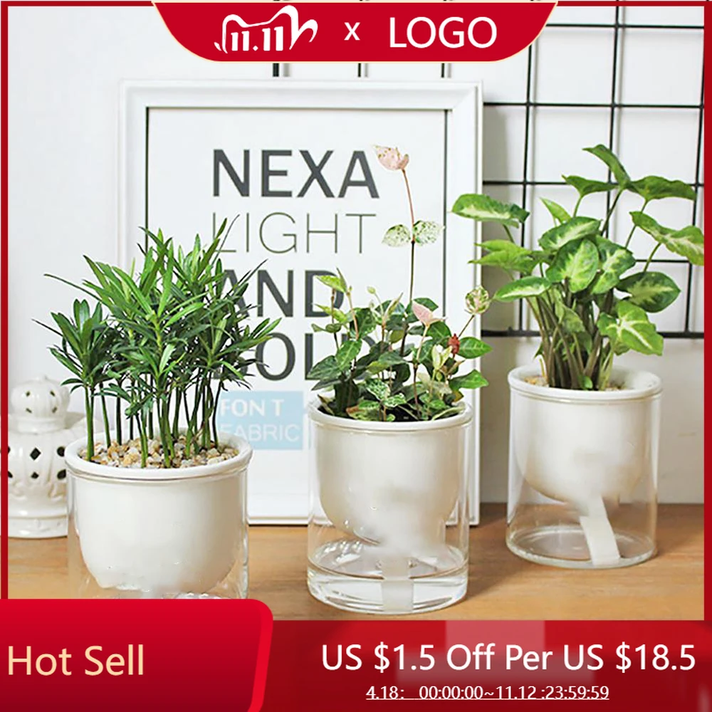 

2PCS Clear Self Watering Pot Planter For Indoor And Outdoor Plants Flowers Herbs Automatic Water Absorbing Plant Flowerpot