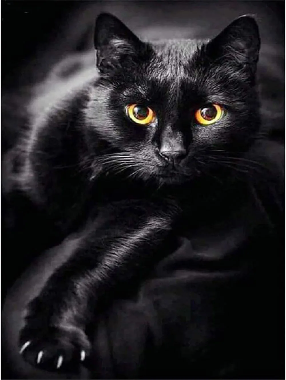 

Black Cat Diamond Painting for Adults and Kids Diamond Art Mosaic Art by Number Kits for Wall Decoration
