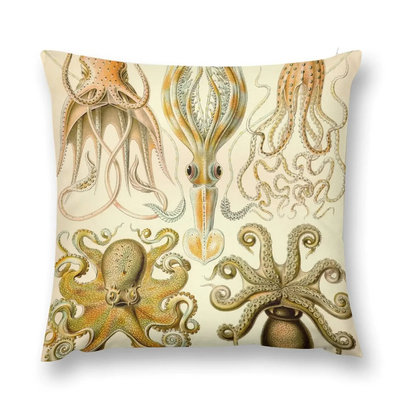 Gamochonia - Ernst Haeckel Декоративная подушка для дивана