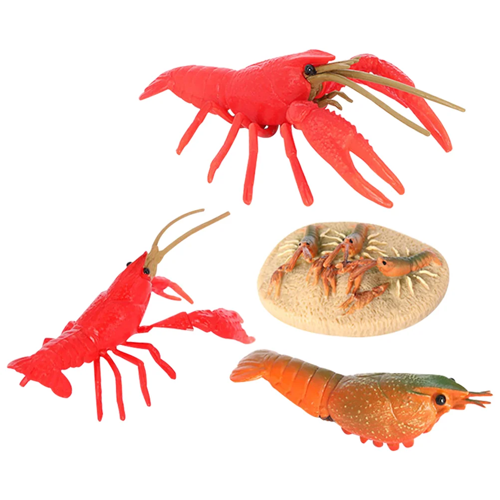 

Toys Crayfish Cycle Toy Animal Life Models Model Figurines Kids Educational Growth Lobsterling Sea Learning Preschool Animals
