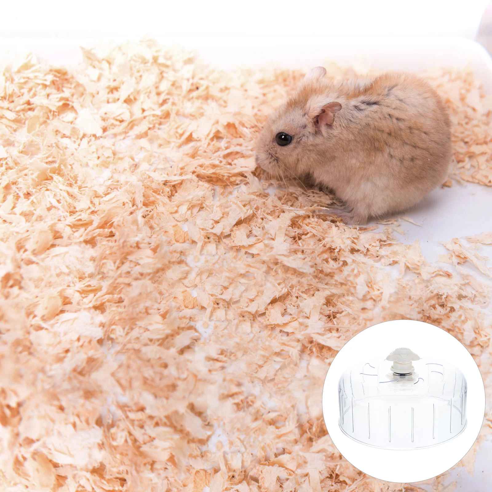 

Small Animal Supplies Hamster Cage Accessories Silent Hedgehog Wheel Household Rat Exercise Chinchilla Accessory Transparent Ps