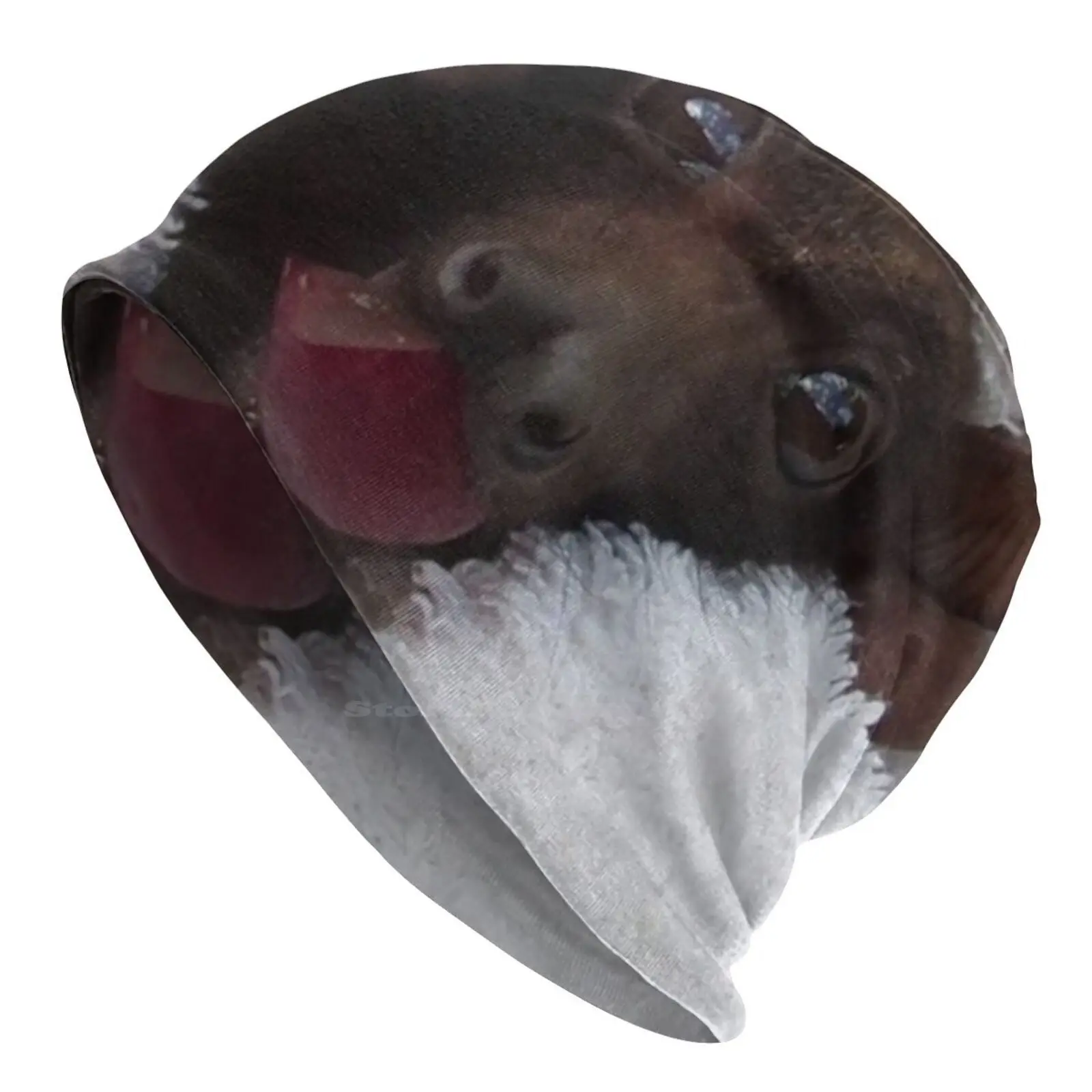 Трикотажная шапка летучая мышь Batzilla теплая уличные шапки милая Летающая лисица