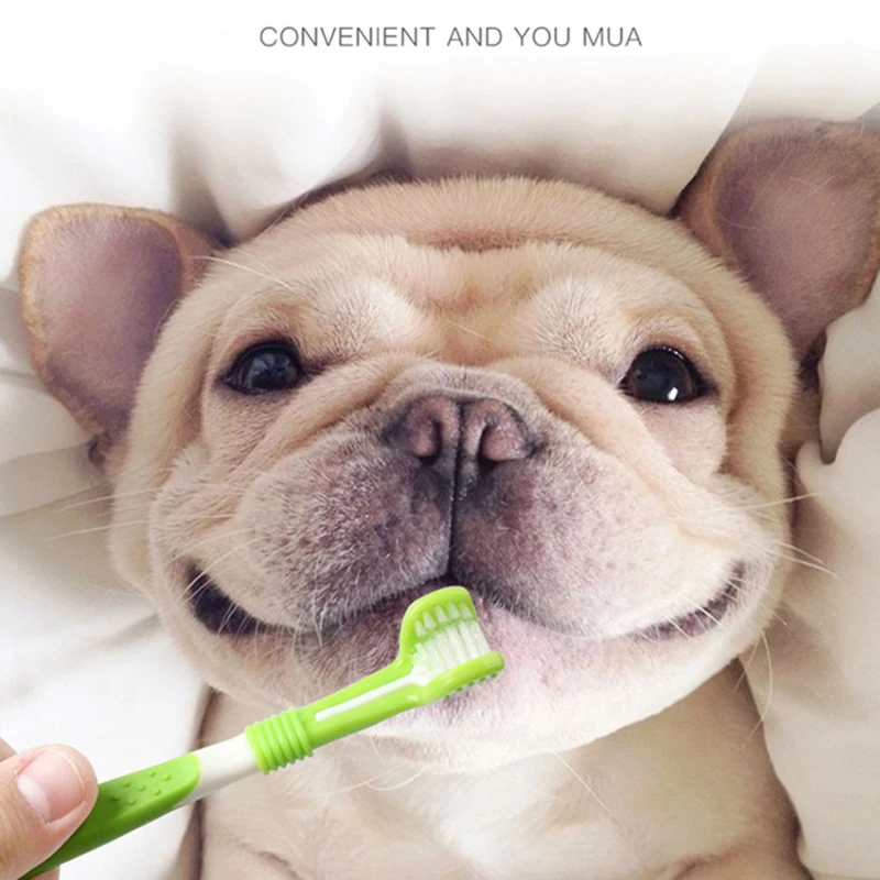 

Pet Toothbrush Kit With Soft Dog Finger Toothbrush Pet Multi-angle Cleaning Tooth Dog Cat Dental Care ToothBrushes Set For Pets