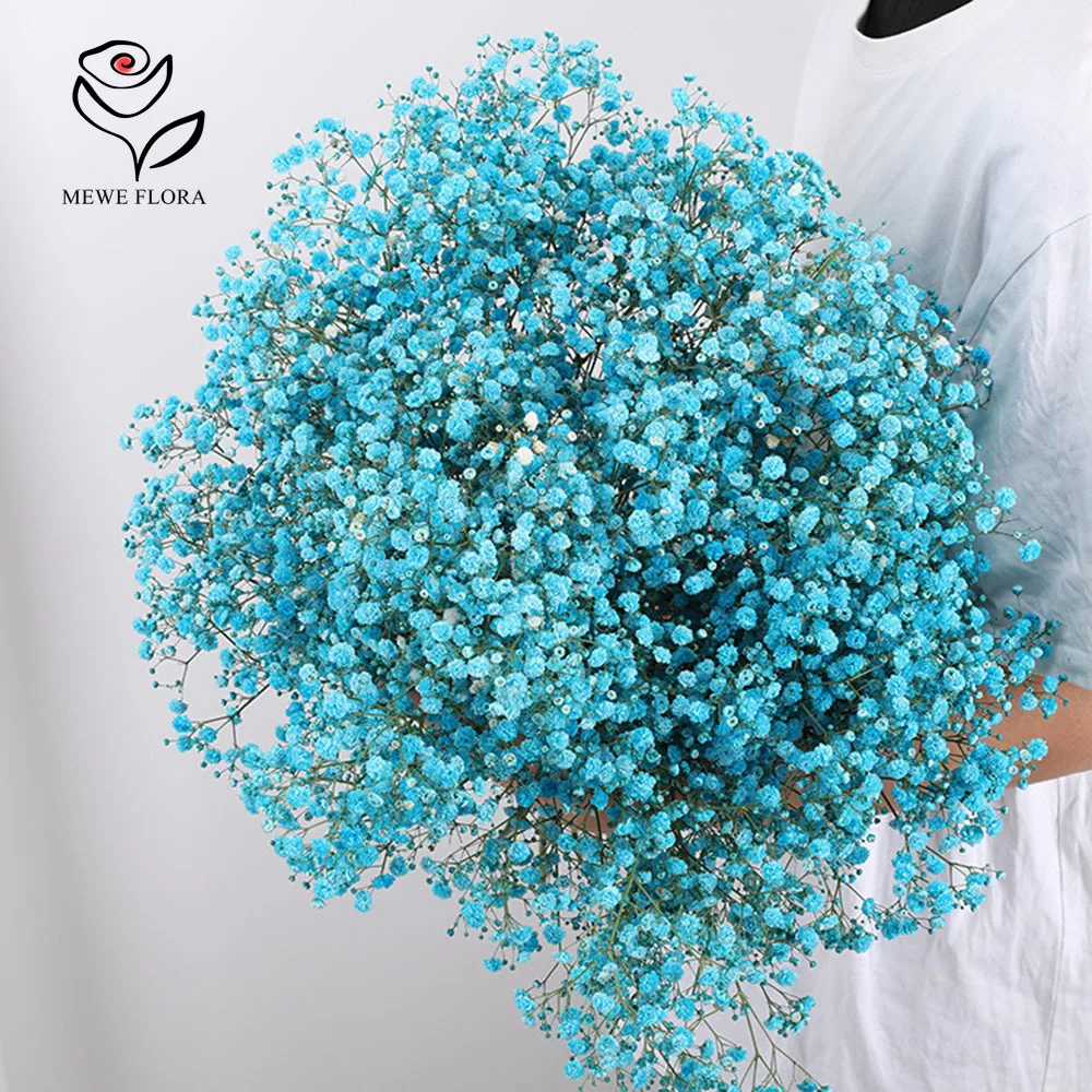 מאגר הקופונים הסודי של עליאקספרס! 300+ קופונים למוצרים מבוקשים! 1628 S6a8011be946440bb8e0fad261e22f345l