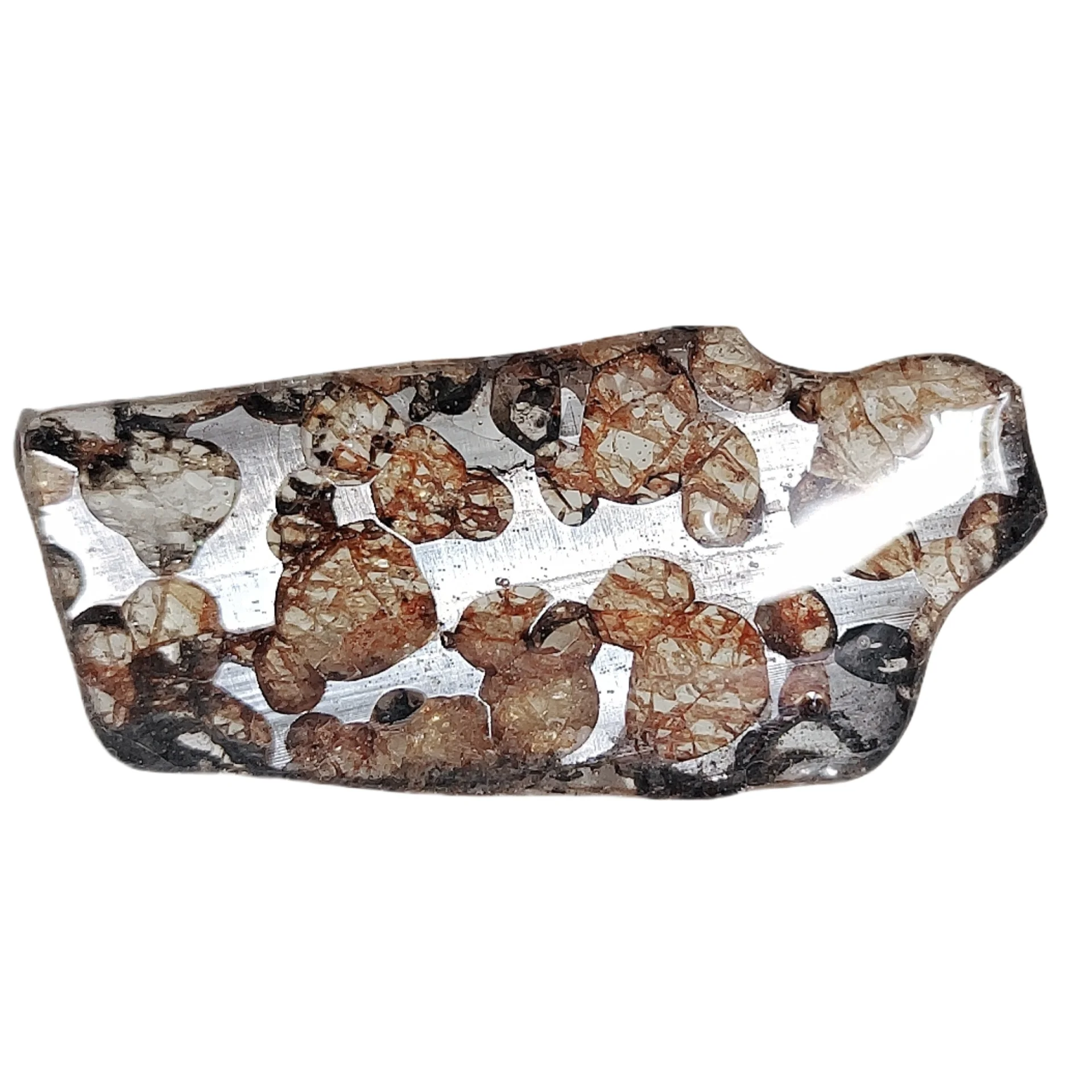 5 1 г Seymchan Pallasite ломтики оливкового метеорита образец натурального нарезанная