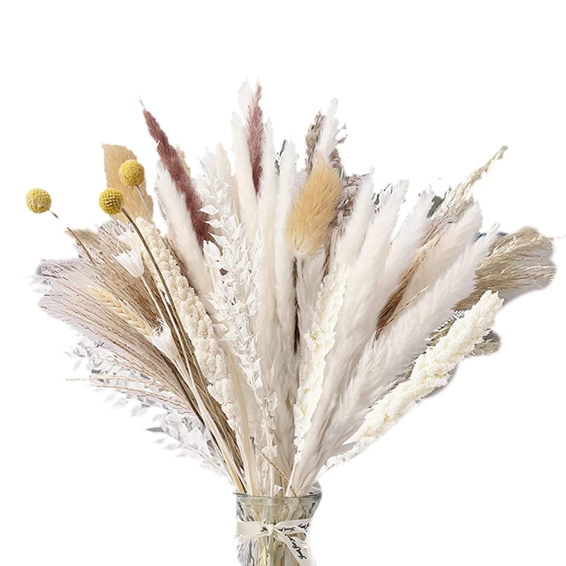

100Pcs Dried Flowers 10 Kinds Pampas Grass 17.32 Inch Pampas Grass Decor Vase Fillers Bunny Tails Dried Flowers