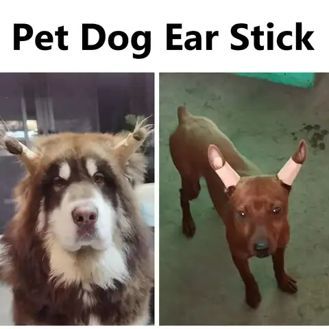 Собака без ушей мем