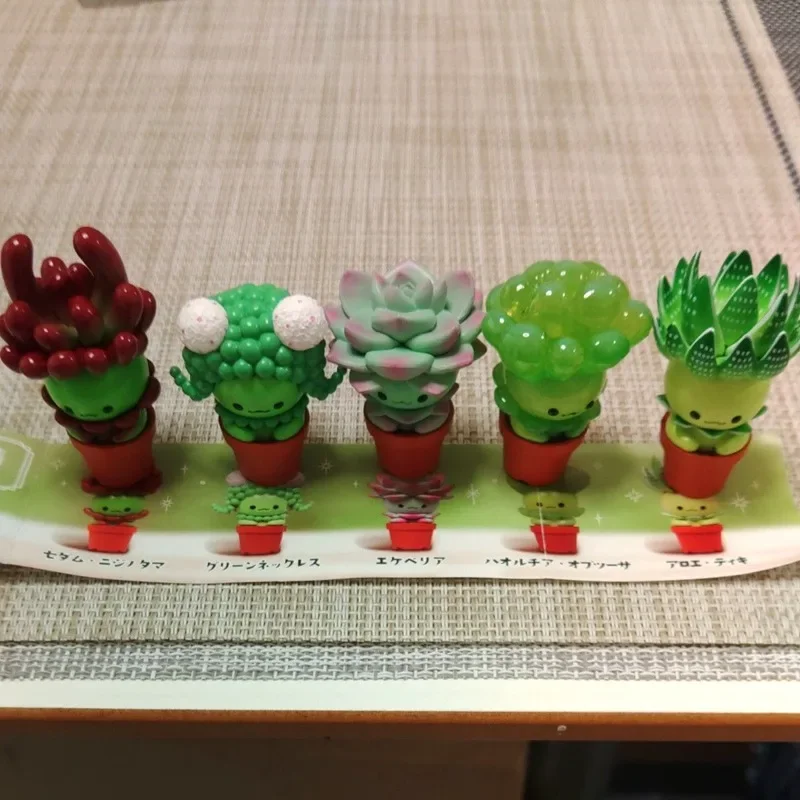 Фото Оригинальная фигурка QUALIA Kawaii Gashapon: милые суккуленты, миниатюрные эльфы в горшках, кактусы, игрушки-капсулы, аниме-фигурки, куклы, подарок №3