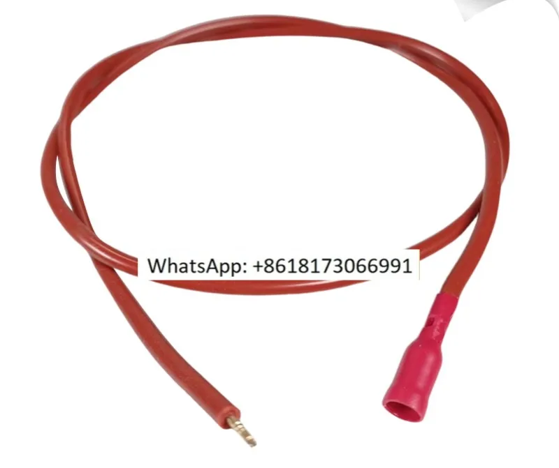 Ионный зонд для двигателя сгорания FS10 FS20 BS4 RS34 RS70 RS190